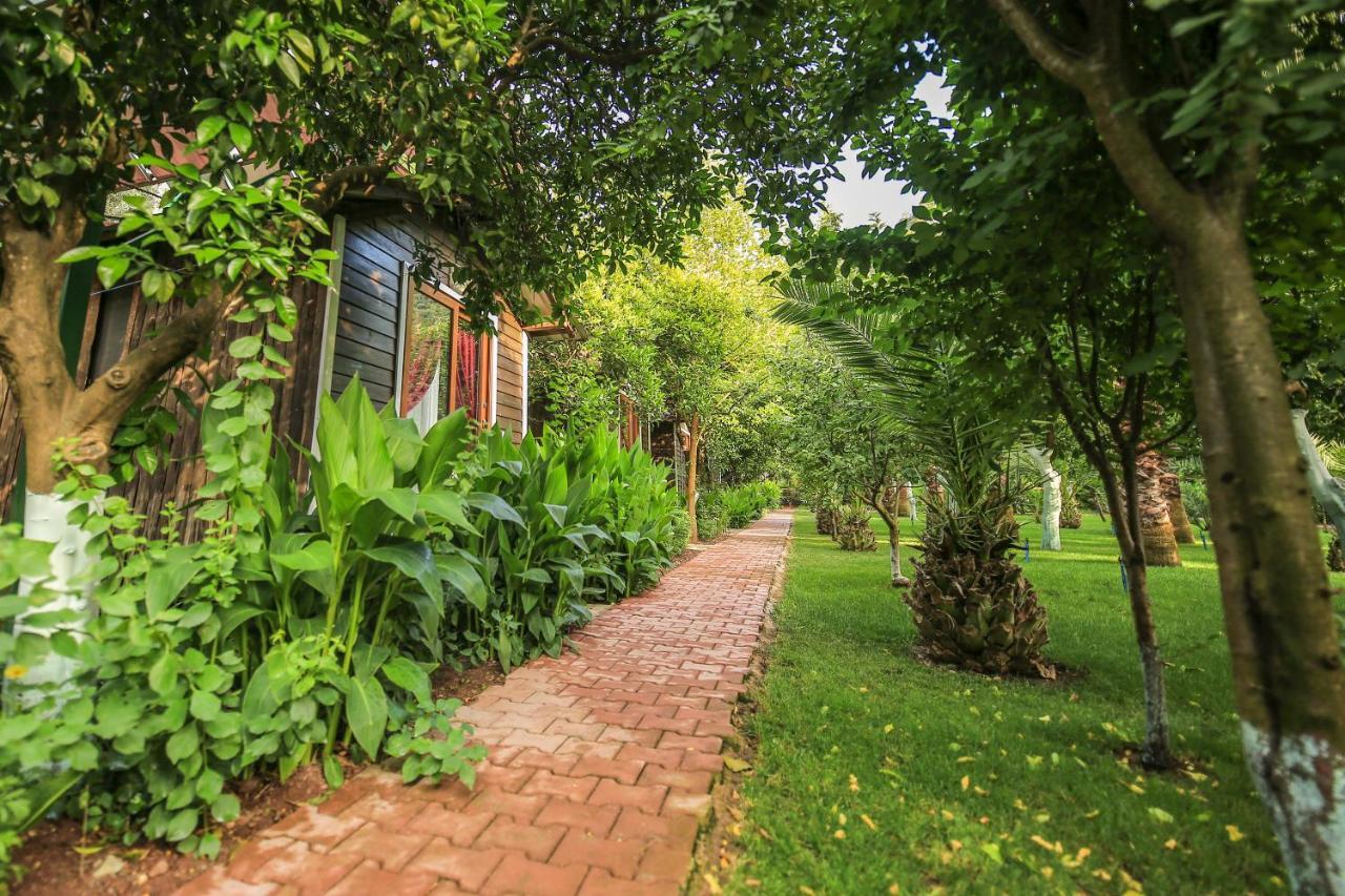 Likya Evleri Olympos (Adults Only) Guest House Exterior photo